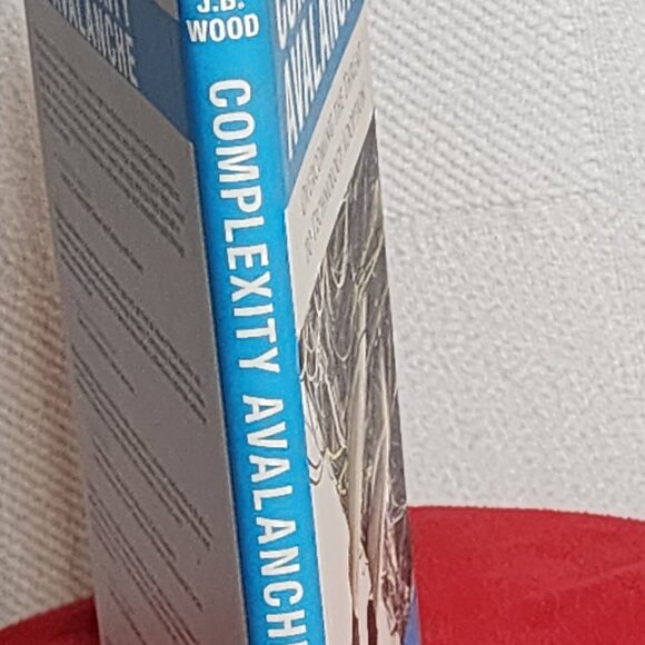 Complexity Avalanche Overcoming The Threat to Tech Adoption by JB Wood Hardcover - Picture 4 of 16